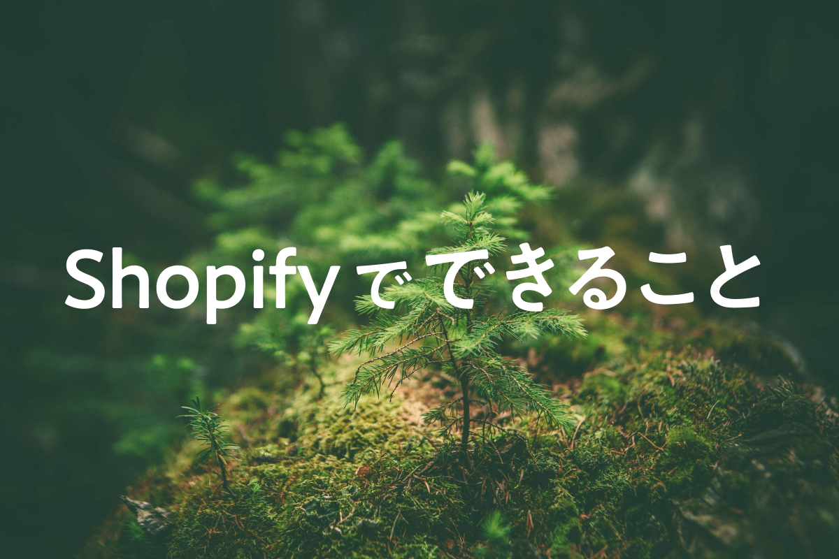 Shopifyでは一体何ができるの？どのようなサービスなの？